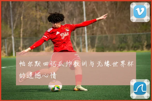 帕尔默回忆瓜帅教训与无缘世界杯的遗憾心情